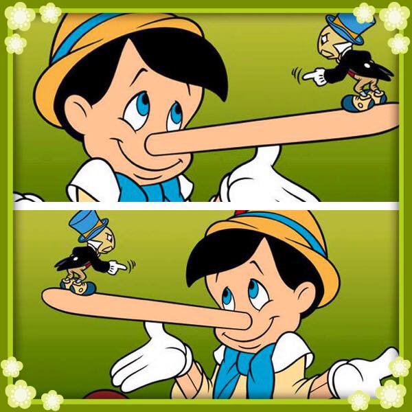 Risultati immagini per pinocchio